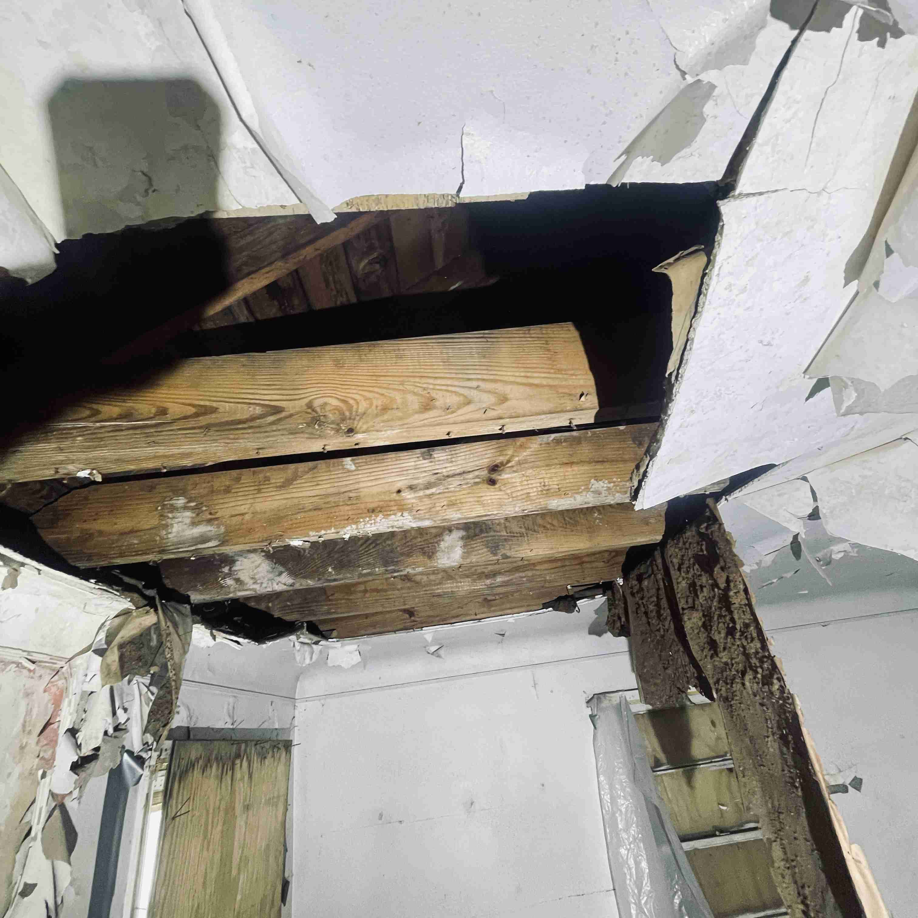 13530 Sorrento (42).jpg